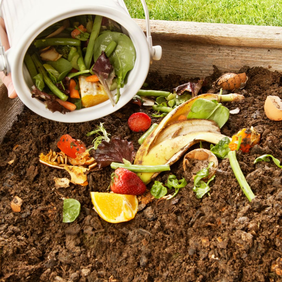 SEL Activity: Feed the Soil
